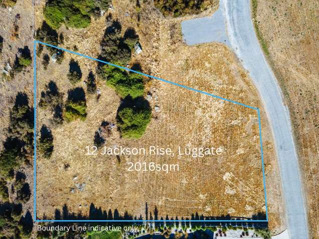 12 Jackson Rise Luggate_3