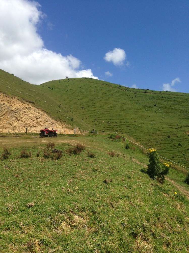 1445 Marokopa Road Marokopa_12