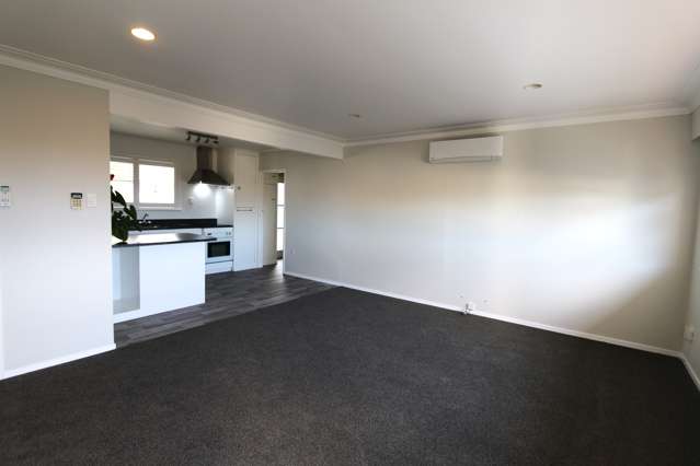 3/66 Tawa Road One Tree Hill_3