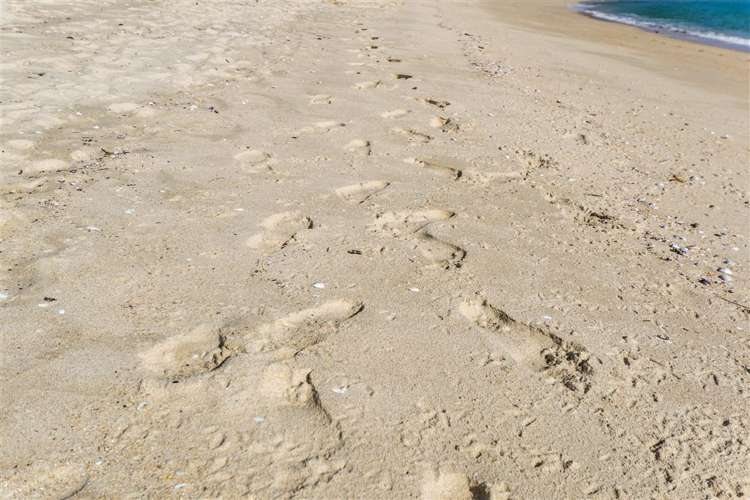 29 Awaroa Inlet Awaroa Bay_41