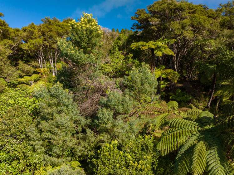 Lot 11 Whatanihi Bay Pelorus Sound_19