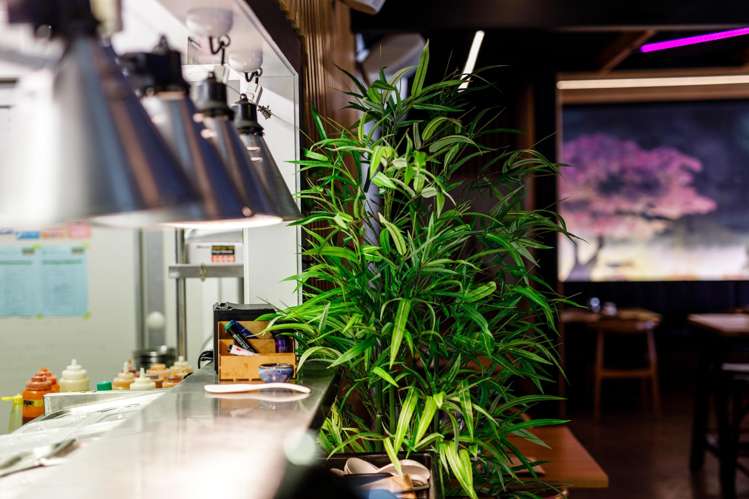 8-14 Richardson Street Whakatane_9