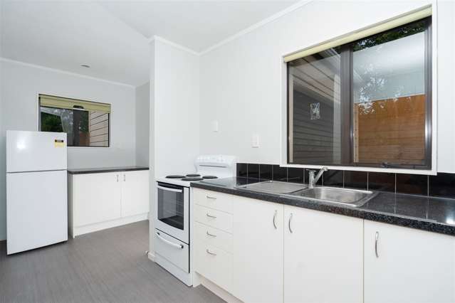 208a Nixon Street Hamilton East_2