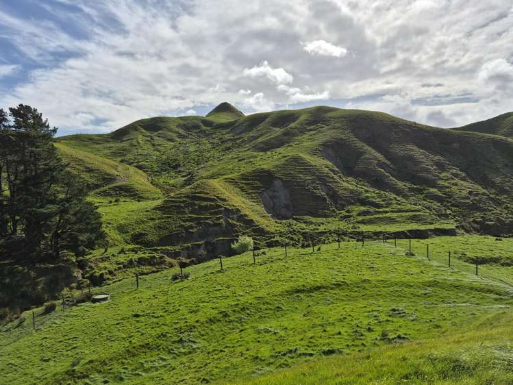 2269 Coast Road Pongaroa_17