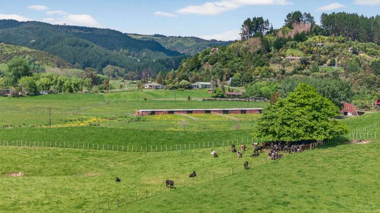 54 Edgerley Road Kaipara Flats_3