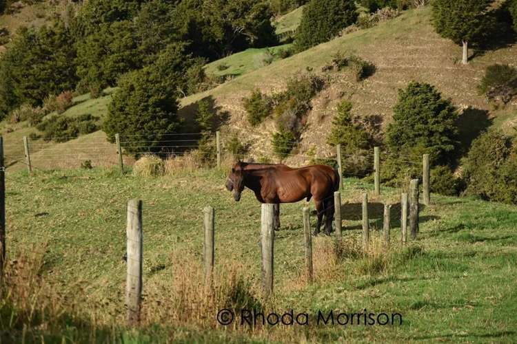 280 Central Road Mareretu_27