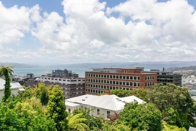 25 Central Terrace Kelburn_3
