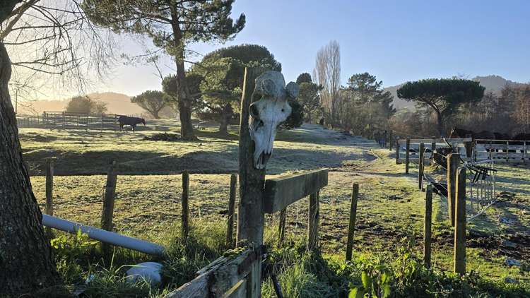 7 Ellis Road Benneydale Te Kuiti_11