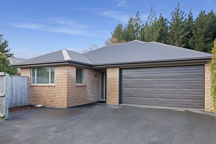 59 Birkdale Drive Shirley_5