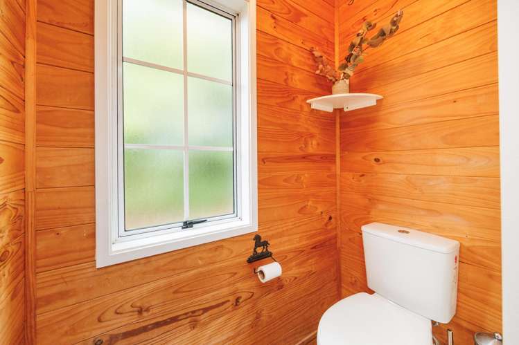 232 Nannestads Line Bunnythorpe_12