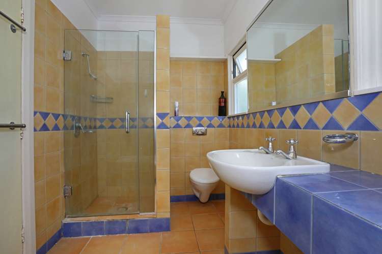 11b Johnson Street Bulls_14