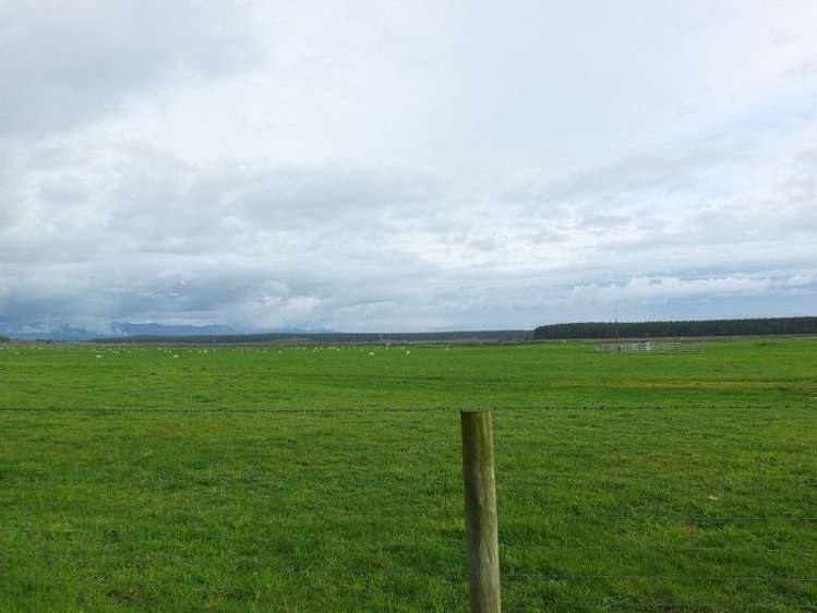 18 Norton Street Foxton Beach_2