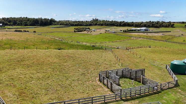 66 Todd Duncan Drive Hamurana_26