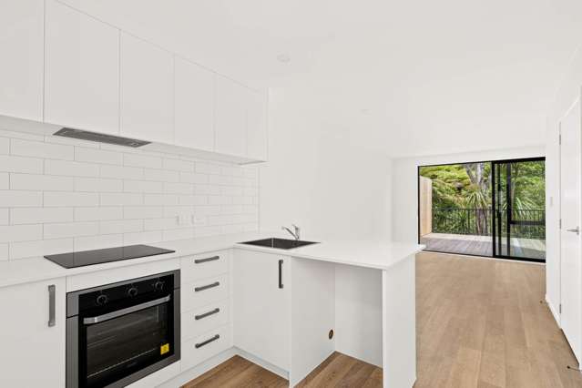 42 Tokai Place Glen Eden_4