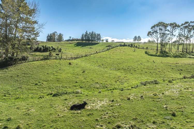 9 Tui Drive Waipukurau_8