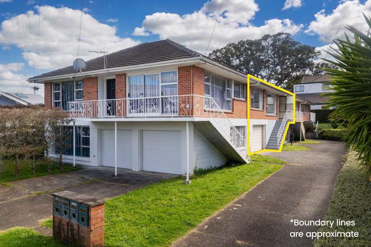 2B Douglas Avenue Mount Albert_12