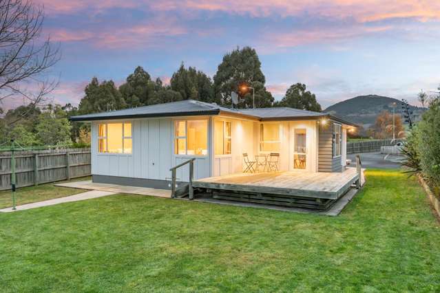 Modern & easy-care & ready now