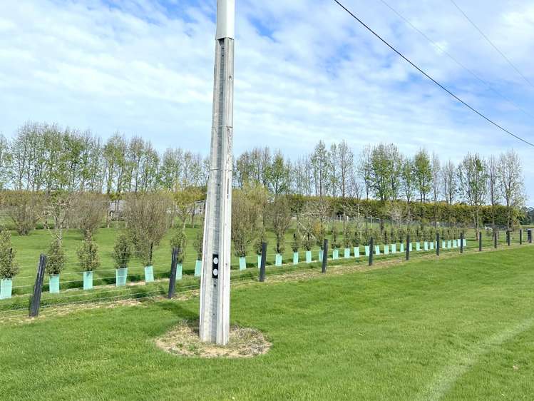 70 Woodlands Cemetery Road Woodlands_10