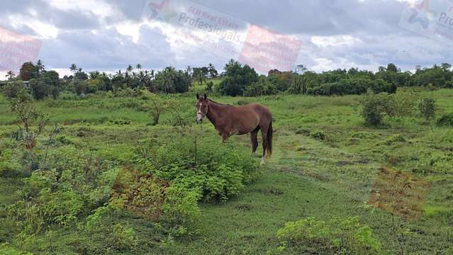 Address withheld Sonaisali_3