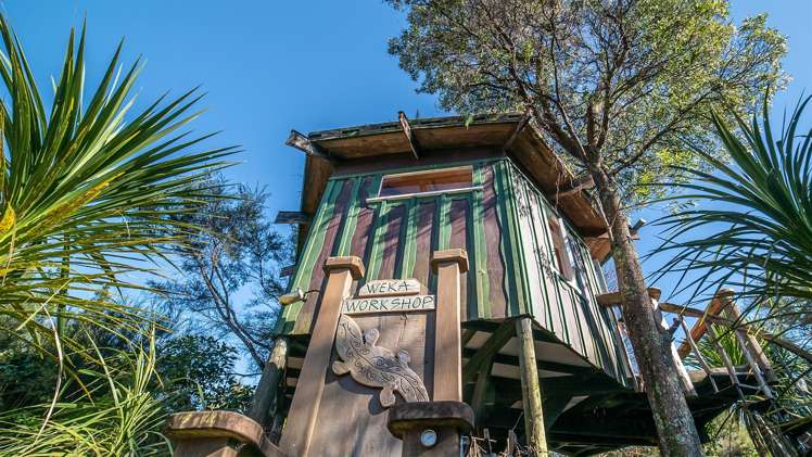 1041 Collingwood-Bainham Main Road Collingwood_6