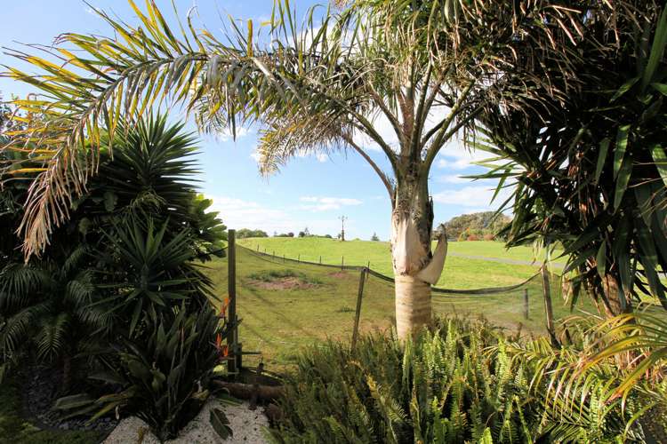 19a Bunyan Road Coastlands_21