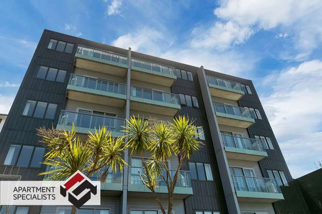 6 Winchester Street Grey Lynn_2