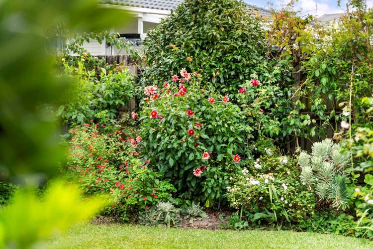 10 Matai Street Waiuku_19