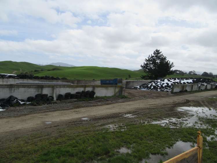 76412 State Highway 2 Rangitikei Surrounds_12