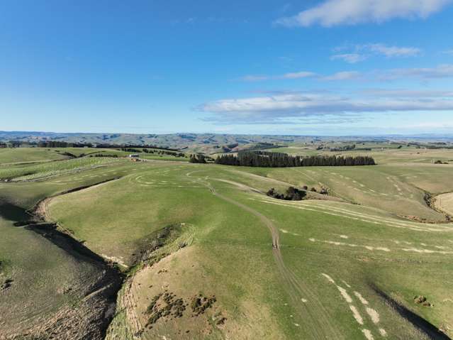 168 Remarkable Road Lawrence_1