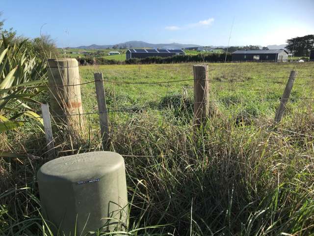 713 Settlement Road Kaiwaka_3