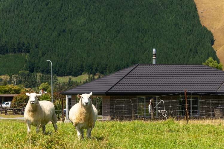 18 Robertson Mill Place Rai Valley_31