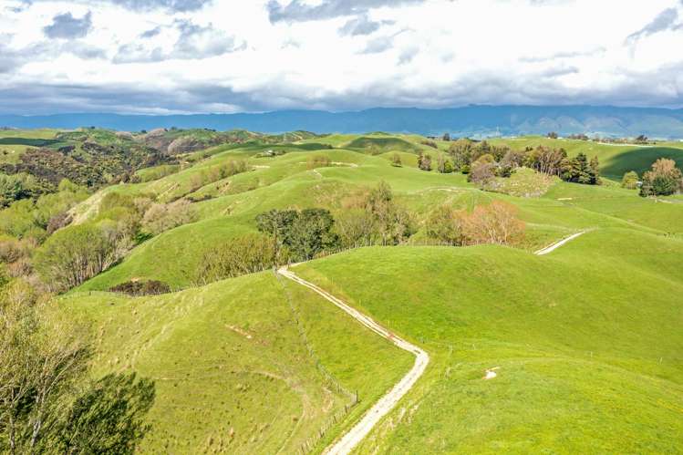 475 Pollock Road Pohangina_16
