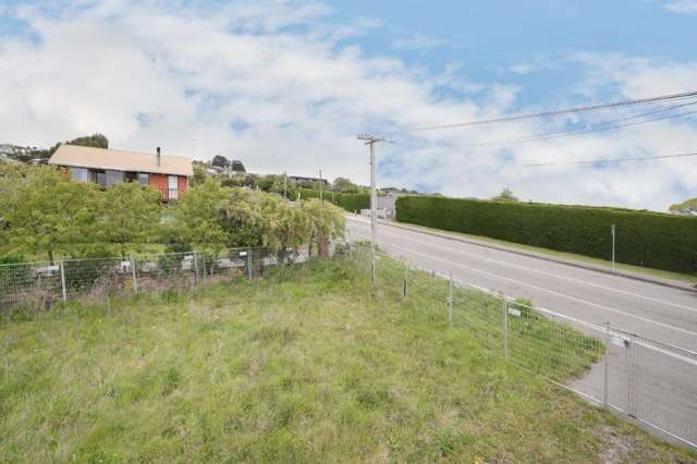 73 Major Hornbrook Road Mount Pleasant_4