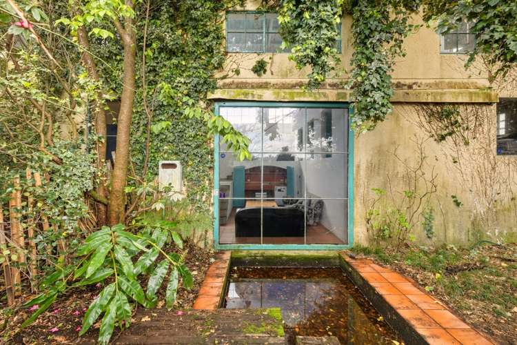 4 Oxford Street Te Puke_5