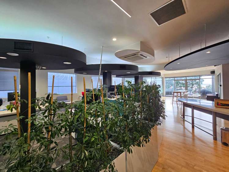 Front/87 Hurstmere Road Takapuna_4