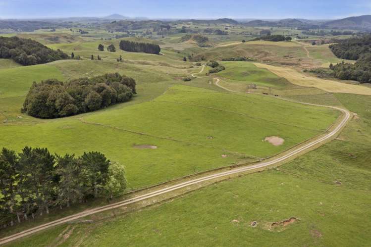 134 Millard Road Maihiihi_20