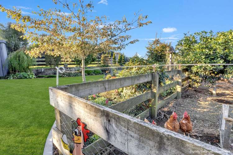 351 Henwood Road Hillsborough_25