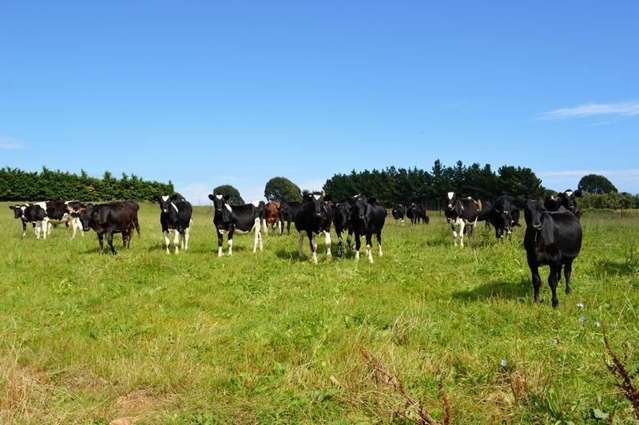 143 State Highway 1 Otaki_3