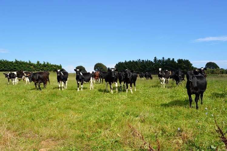 143 State Highway 1 Otaki_3