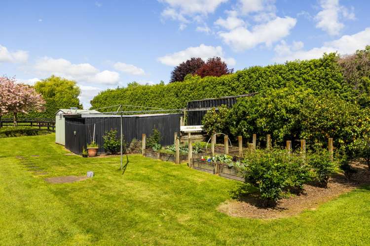 36 Roto-O-Rangi Road Cambridge_9