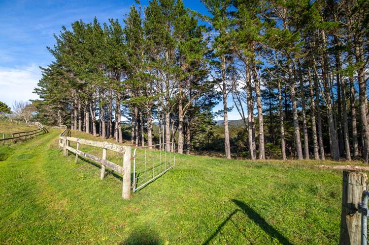 2450 Kopu Hikuai Sh25a Road Hikuai_22