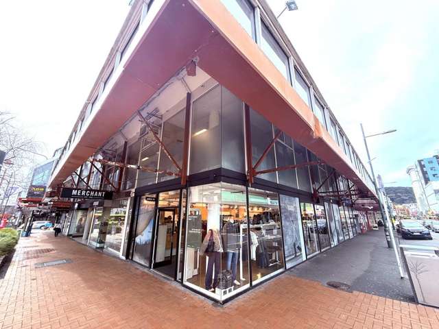 Ground and Level 1/71-81 Cuba Street Te Aro_1