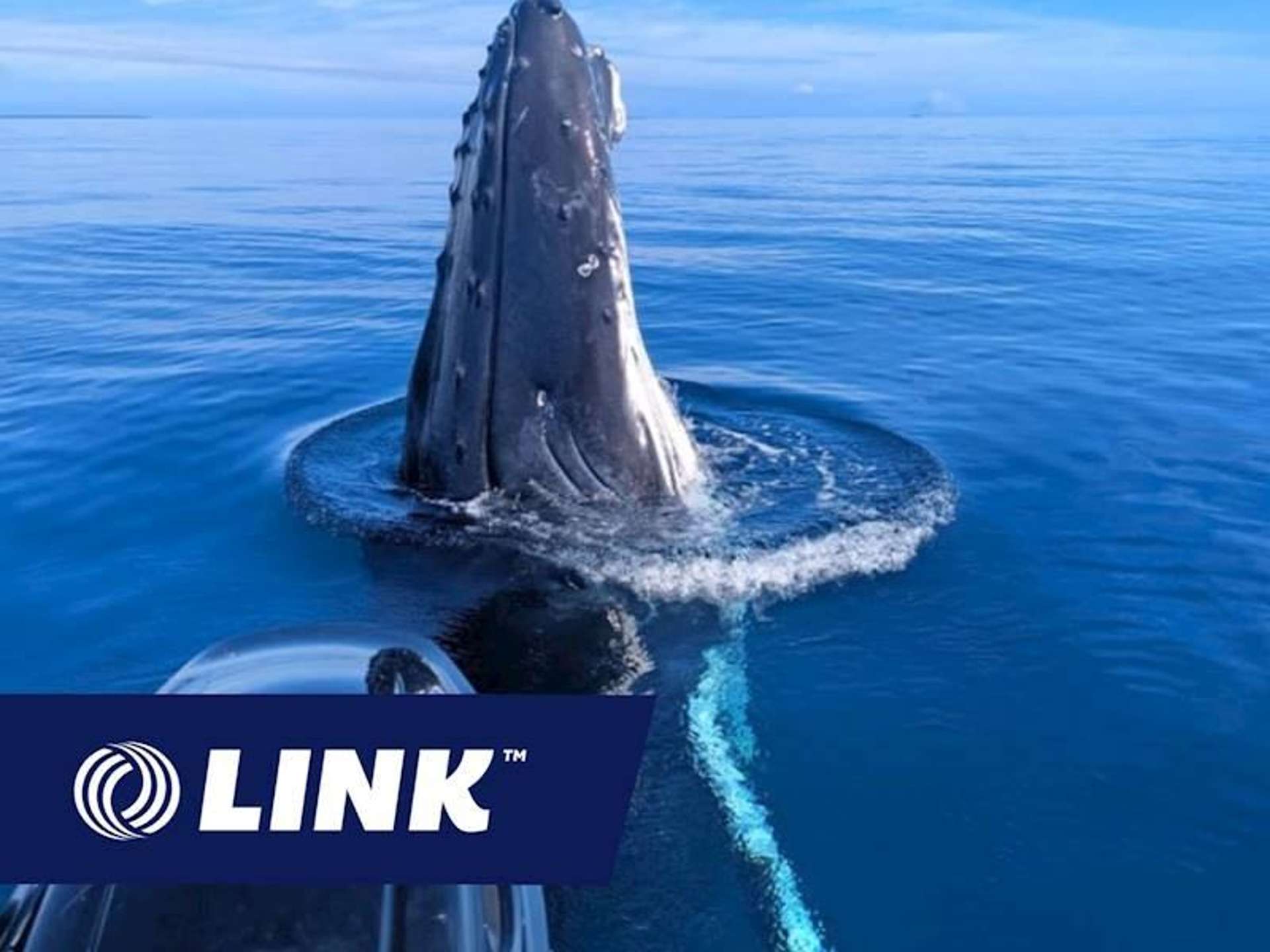 Address withheld Mechanics Bay_0