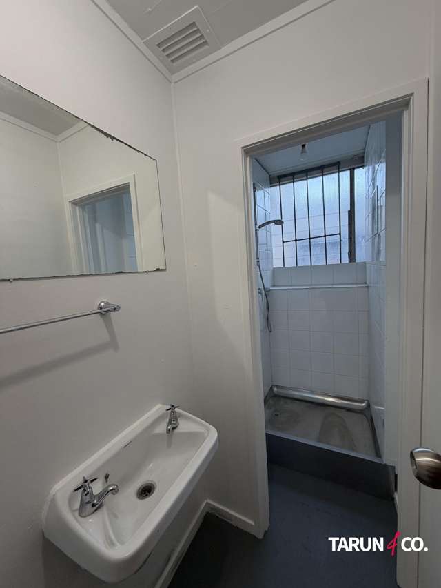 9B Spring Street Onehunga_4
