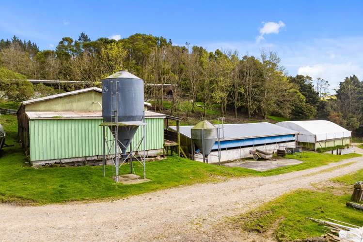 1638 State Highway 12 Paparoa_22