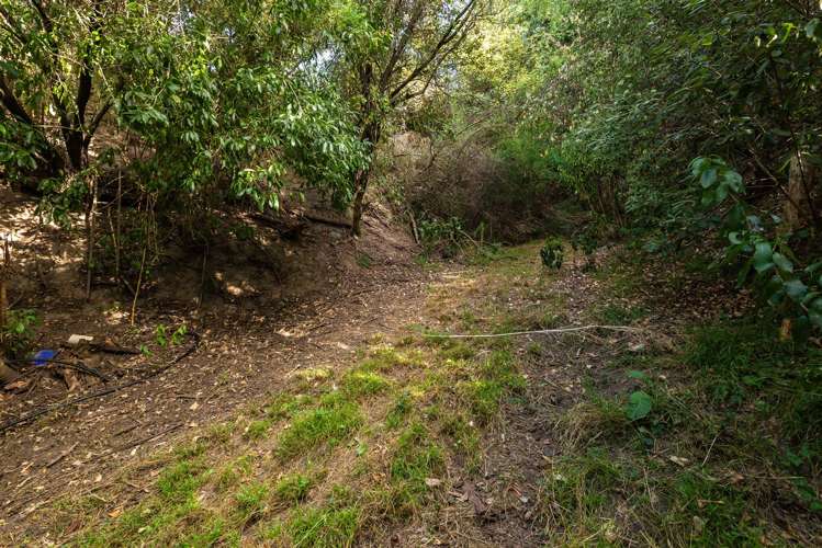 6 Plumwood Lane Cashmere_16