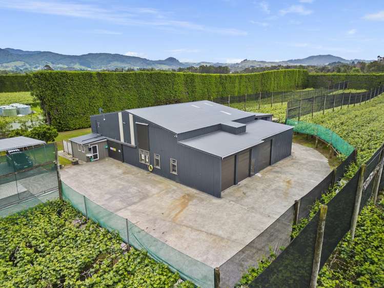 151 Beach Road Katikati_2