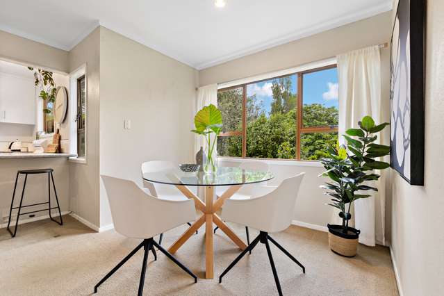 3/11 Minto Road Remuera_3