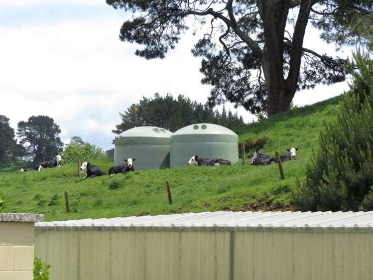 402i Crawford Road Wairoa_20