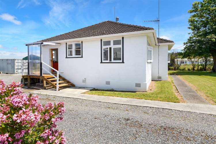 25 Flower Street Bulls_29